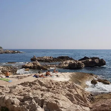 Domus Napoleone Bonaparte *